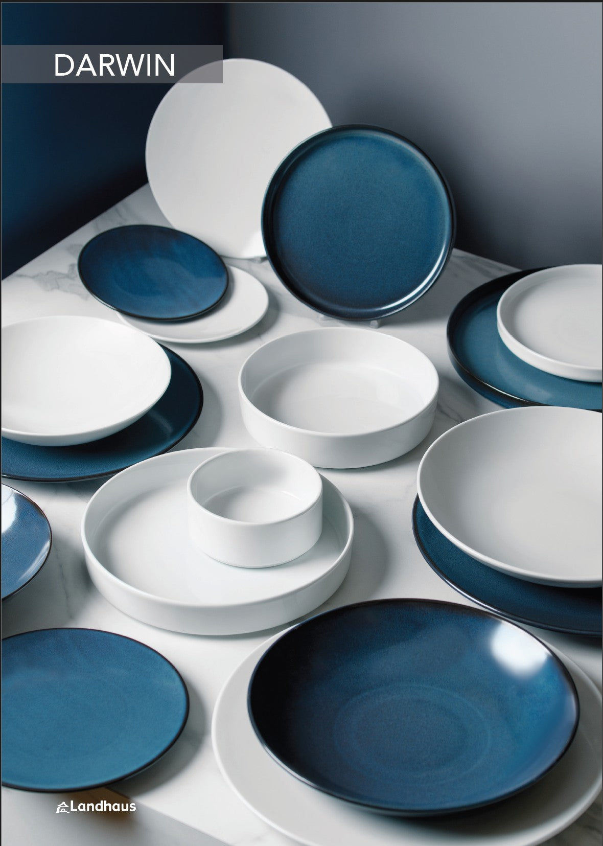 Darwin - Flat Plate cm.24x4 - 06027541